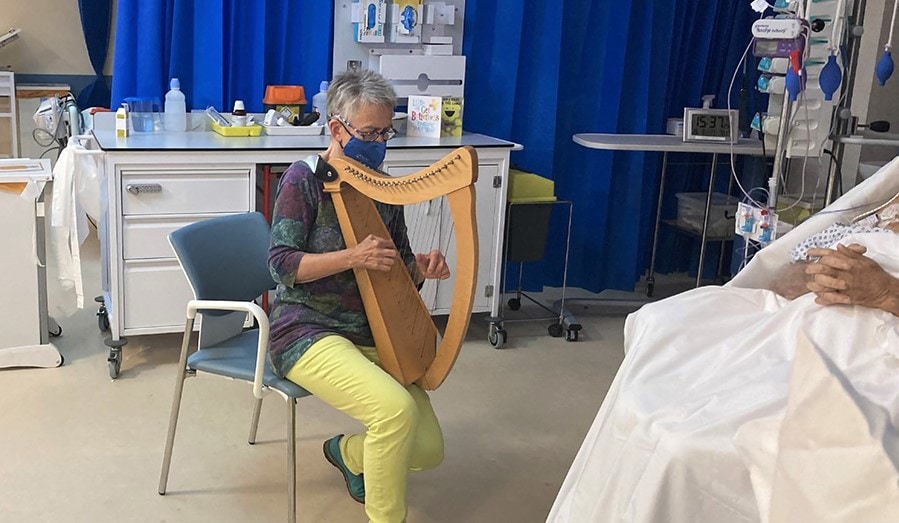 Musician playing a small harp for a hospital patient at their bedside, bringing calm and comfort through live music.